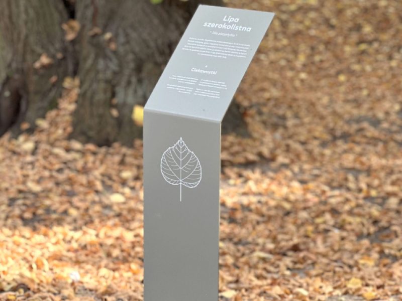 ekspozytory wayfinding