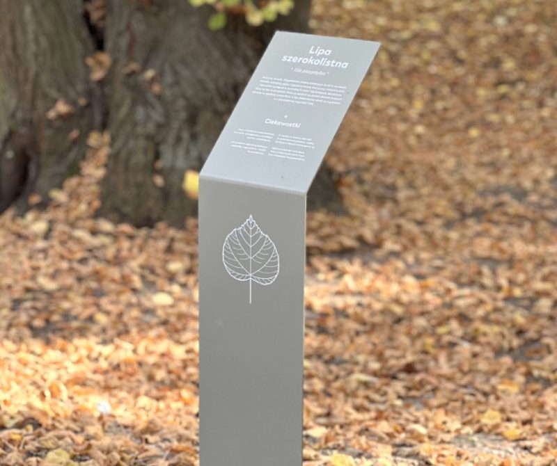 ekspozytory wayfinding