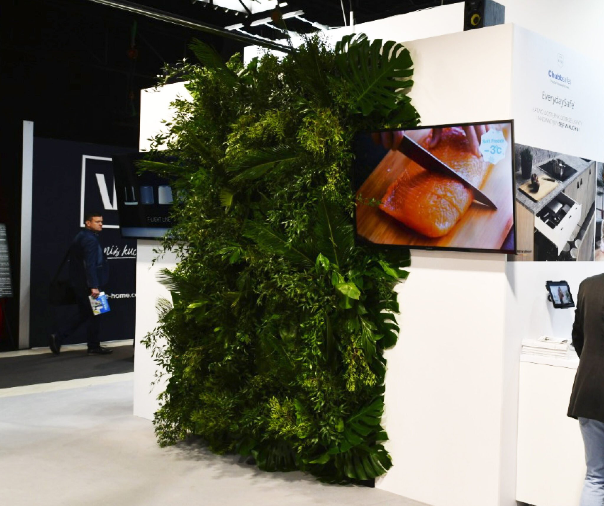 żywa ściana zielona