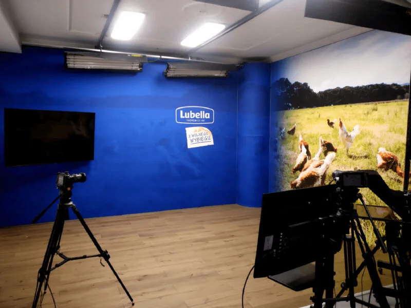 tło streaming online warszawa