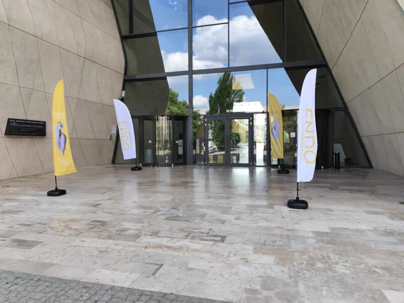 Flags and roll-up banners branding the venue entrance